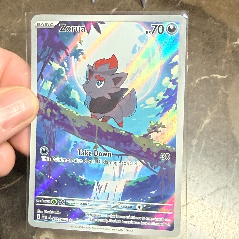 Pokemon Zorua Illustration Rare Prismatic Evolutions 142/086 Holo Full Art Card